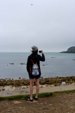 IMG_2207