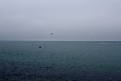 IMG_2224